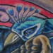 Tattoos - Peacock Coverup - 42419